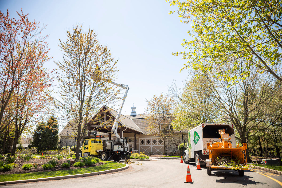 tree pruning truck with bucket and truck with wood chipper