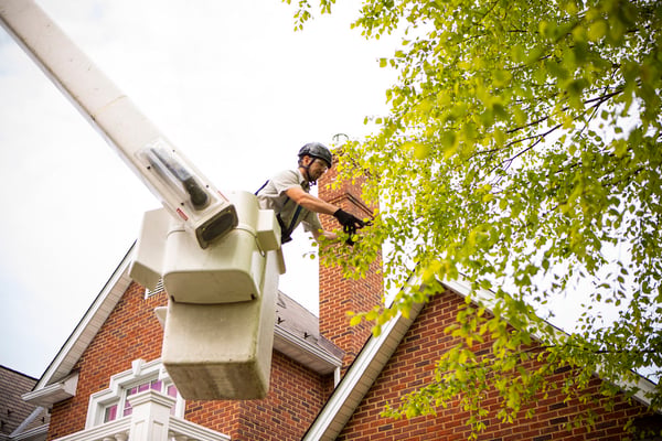 Photo inspiration: Gallery Detail: 6 Important Equipment Needs At Your Tree Care Franchise