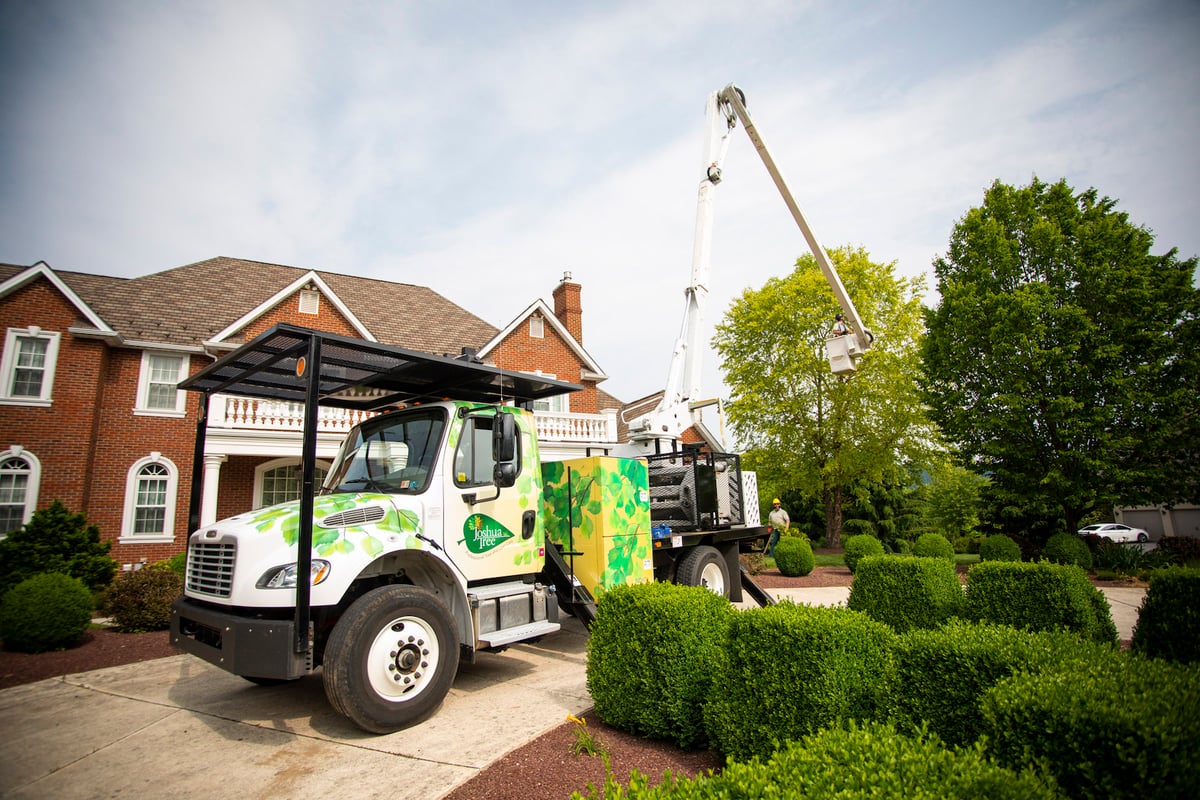 truck wrapped with logo with bucket to trim trees