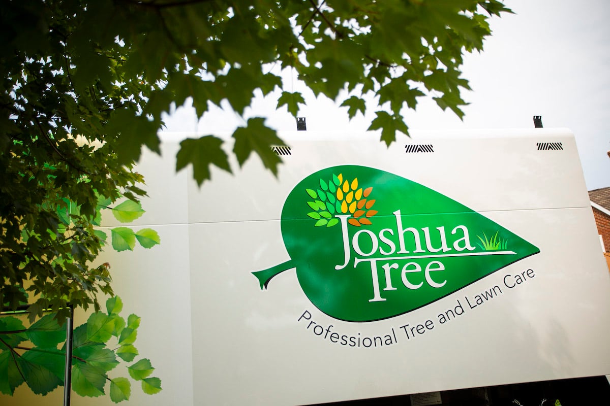 joshua tree logo on truck