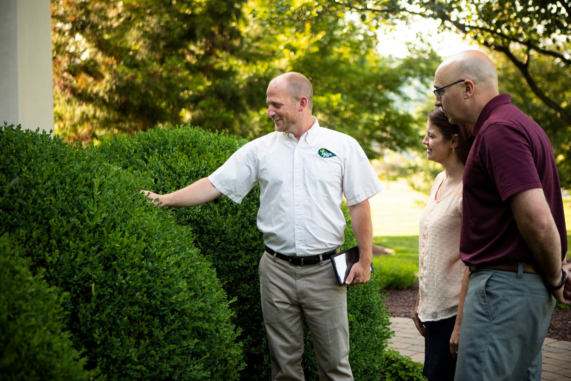 landscaping company adding tree care