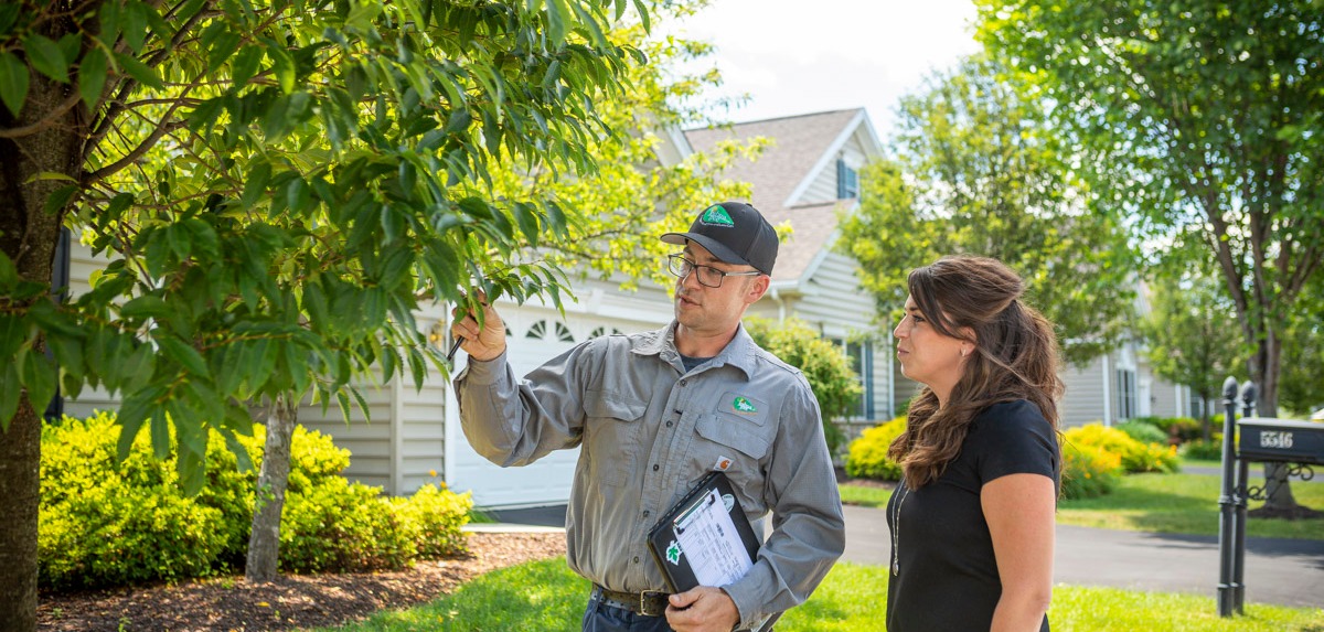 tree care technician and client inspect tree