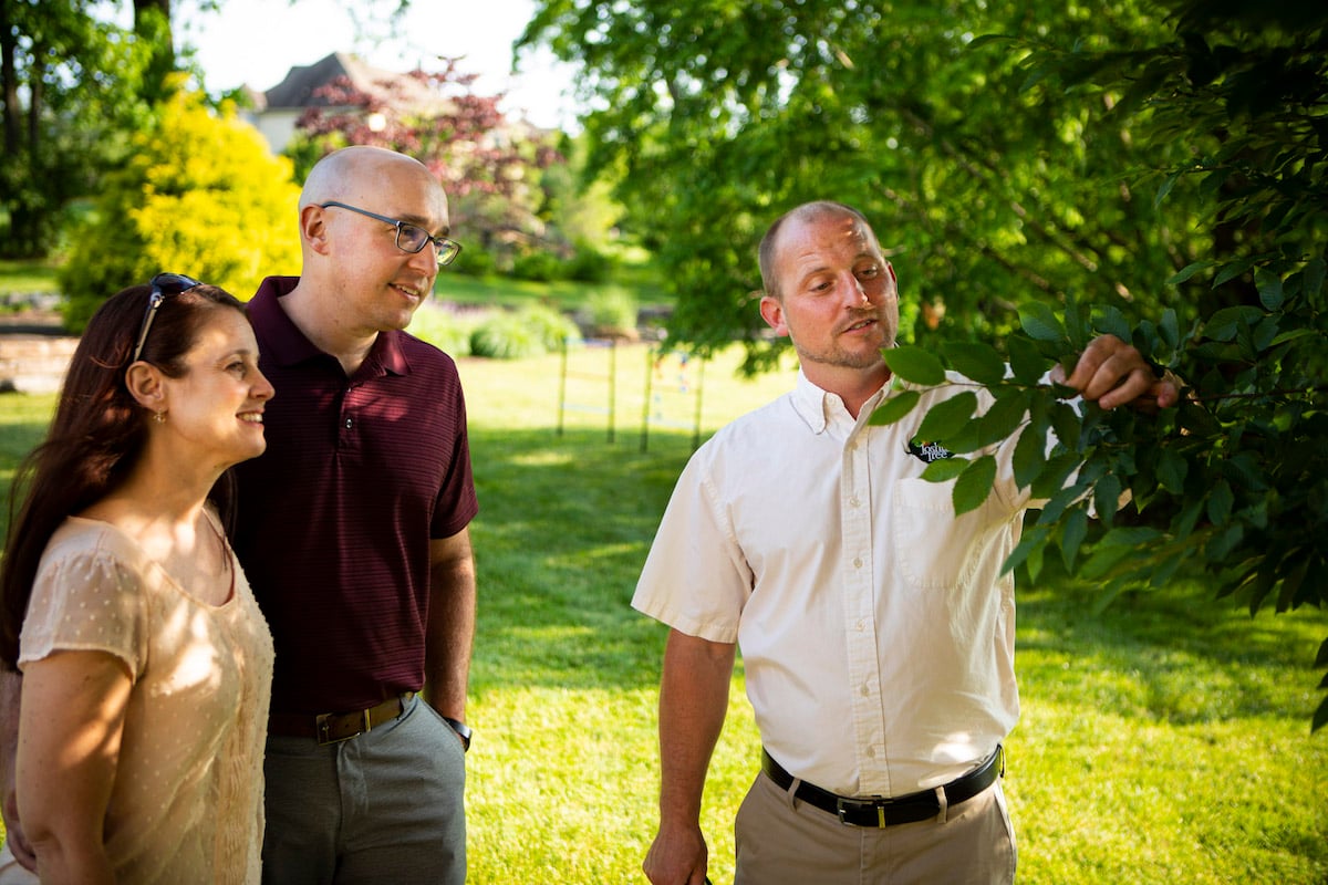 tree care technician inspects tree with customer