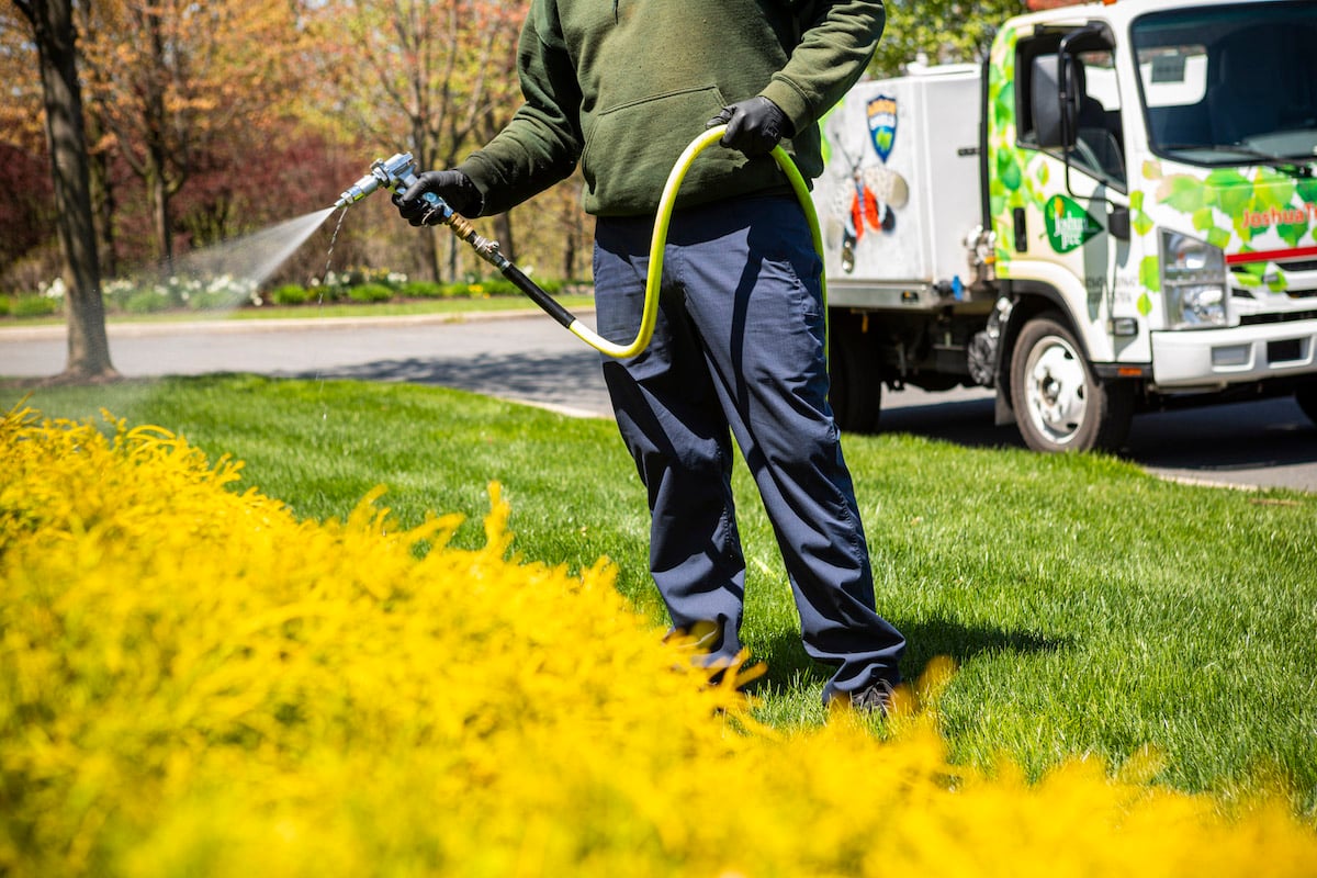 plant health care technician sprays bushes