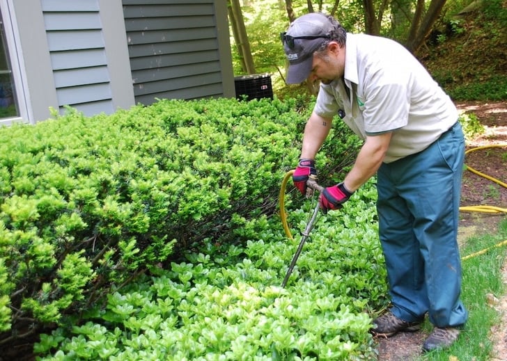 plant health care technician performs soil test