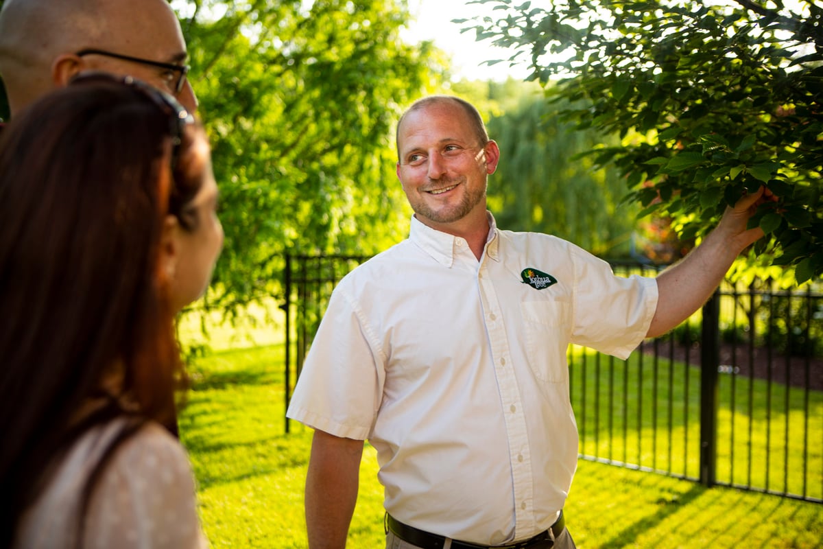 Joshua Tree technician meets with clients to inspect tree