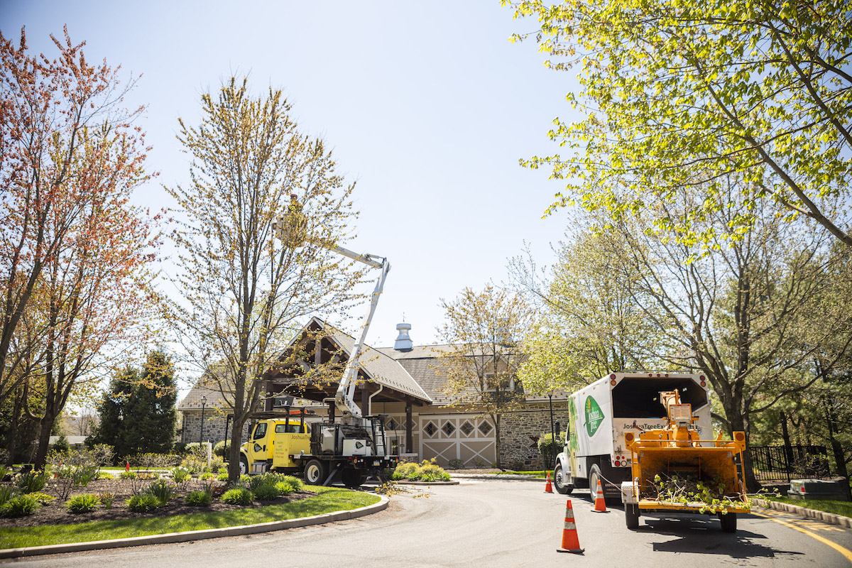 Photo inspiration: How To Run Safe Job Sites At Your Tree Service Photo Inspiration