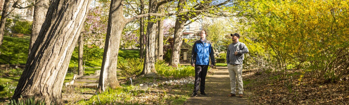 A Joshua Tree Experts professional engaging in a discussion with a client while standing on a pathway surrounded by trees. The professional is seen looking towards the trees, likely discussing the scope of a potential job. The image captures a professional meeting in a natural setting.