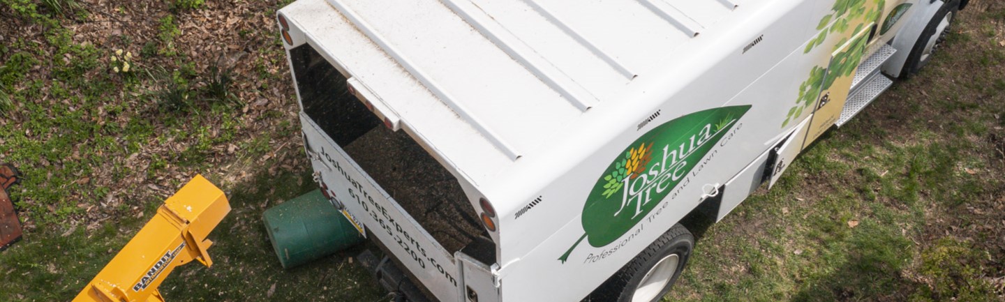 Joshua Tree Experts professionals are processing the wood chipper machine.